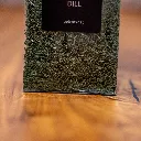 Kräuter Dill Detail.webp